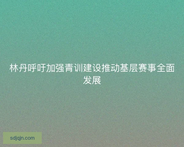 林丹呼吁加强青训建设推动基层赛事全面发展